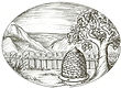 CFF Logo 2017.jpg